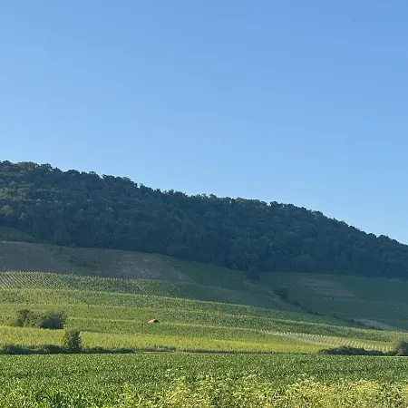 Lejlighed Horizont 360